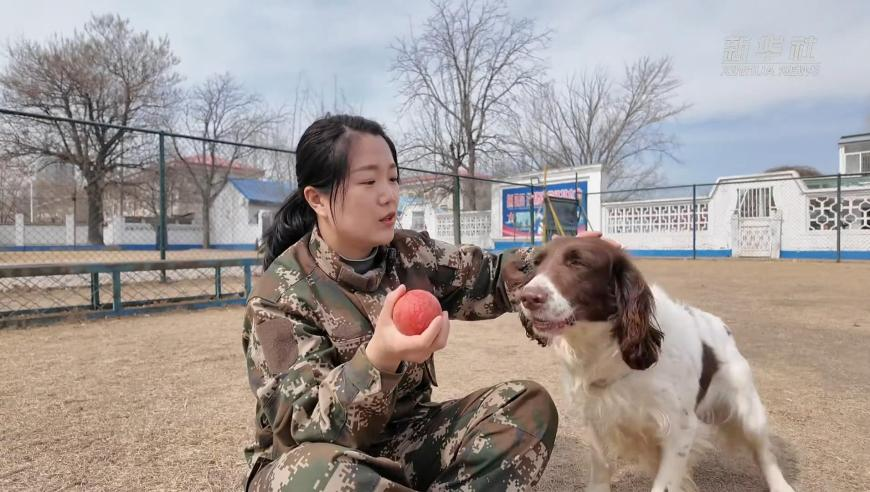 夫妻上完公厕双双感染诺如病毒,澳门4949开奖资料网站,经典解释落实_铂金版V7.38