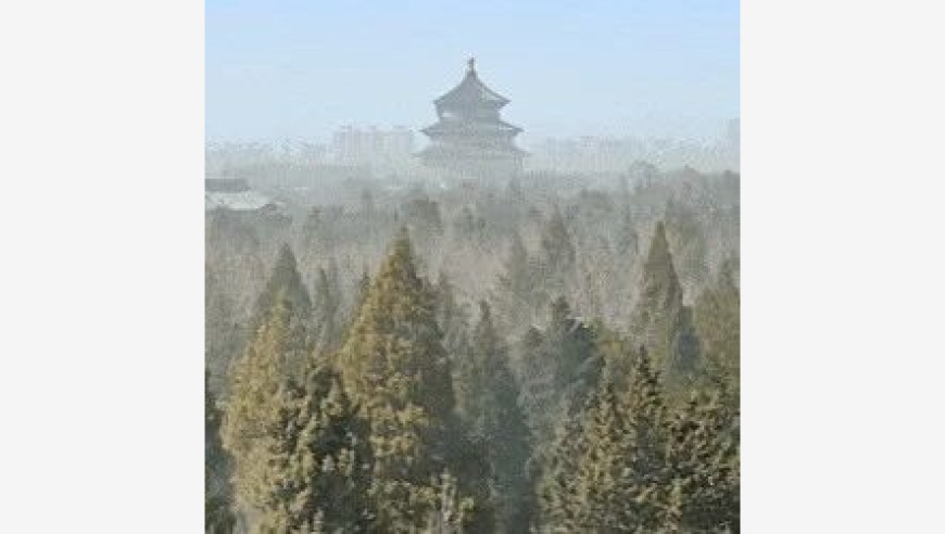 2025今晚澳门特马开的什么,变形记主人公王晨祭拜爷爷,最新热门解答落实_终极版V8.69
